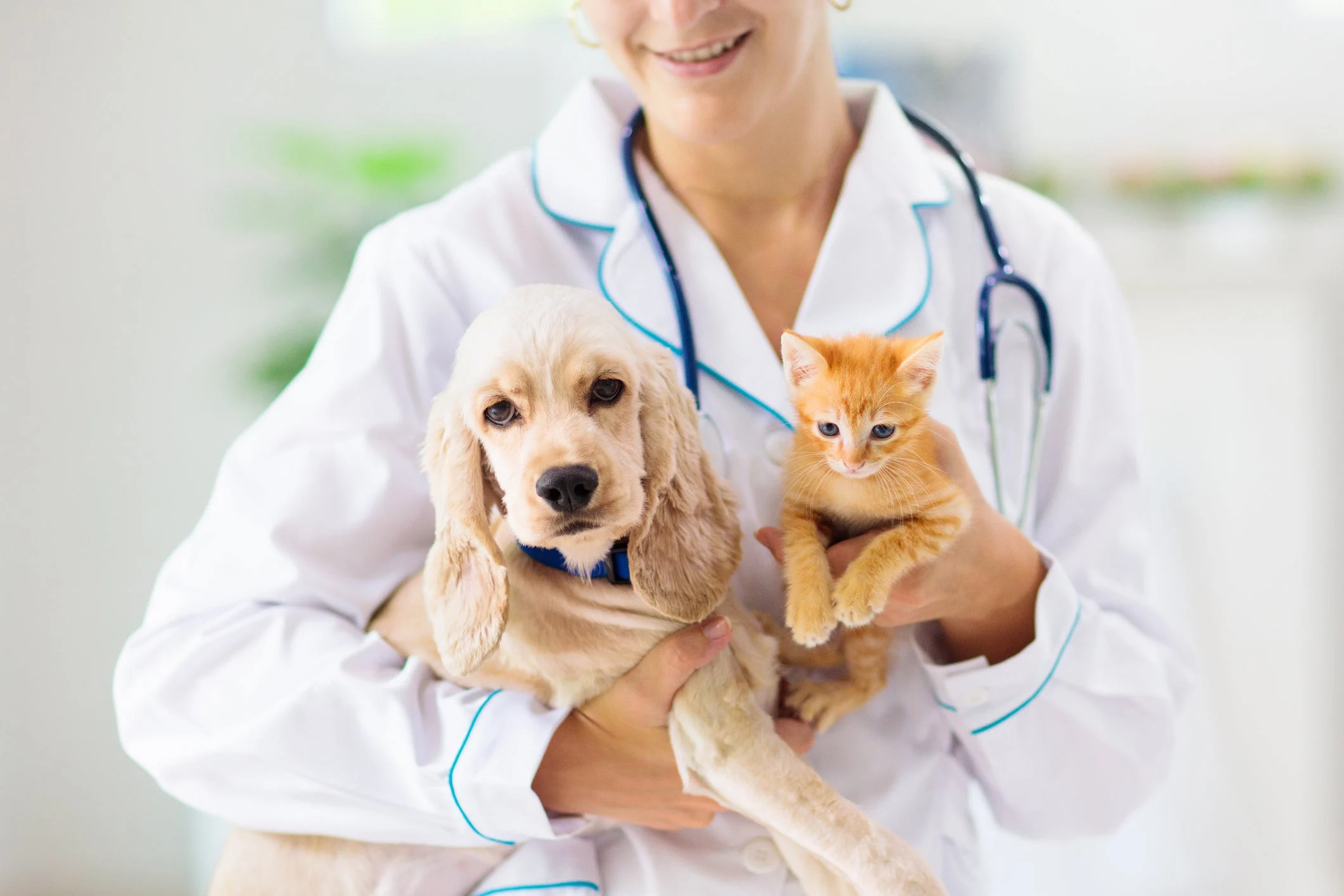 Téc. em veterináriA